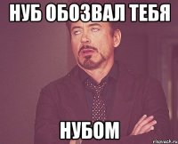 Нуб обозвал тебя нубом