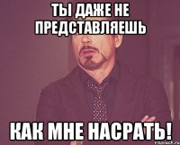 ты даже не представляешь как мне насрать!