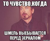 То чувство,когда Шмель выебывается перед зеркалом