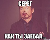 Серёг как ты заебал...