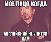 моё лицо когда английский не учится сам