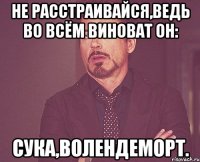 Не расстраивайся,ведь во всём виноват он: Сука,Волендеморт.