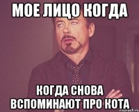 мое лицо когда когда снова вспоминают про кота