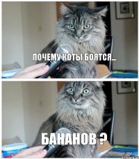 Почему коты боятся... БАНАНОВ ?