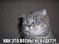  Как это весны не будет?!