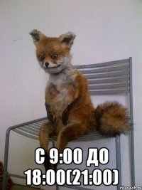  с 9:00 до 18:00(21:00)