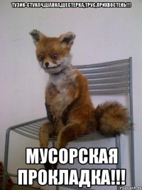 тузик-стукач,шавка,шестерка,трус,прихвостень!!! мусорская прокладка!!!