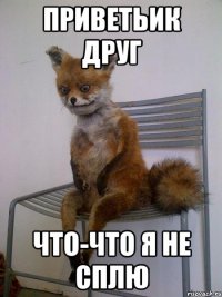 приветьик друг что-что я не сплю