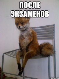 После экзаменов 