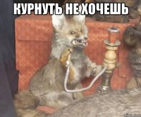 Курнуть не хочешь 