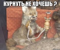 Курнуть не хочешь ? 