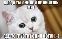 Когда ты online и не пишешь мне Где-то грустит один котик :-(