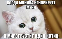 Когда Моника игнорирует меня В мире грустит один котик