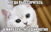 Когда вы ссоритесь, в мире грустит один котик