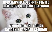 пока карина говорит чтоб я с ней быстро не разговаривал в мире грустит кошак который втрипал водный