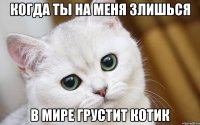 когда ты на меня злишься в мире грустит котик