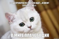 в мире плачет один Когда проверка по смете не идет.....и висит excel....котик:-(