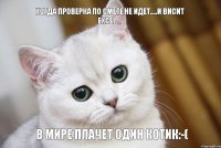 в мире плачет один котик:-( Когда проверка по смете не идет.....и висит excel....