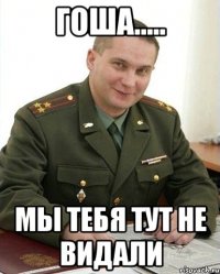 Гоша..... мы тебя тут не видали