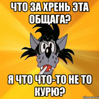 Что за хрень эта общага? Я что что-то не то курю?