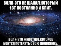 Волк-это не шакал,который ест постоянно и спит. Волк-это животное,которое боится потерять свою половинку.