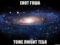 Енот Гоша Тоже любит тебя