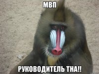 МВП Руководитель ТНА!!