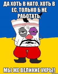 да хоть в нато, хоть в ес, только б не работать, мы же великие укры!