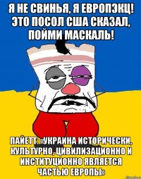 Я не свинья, я европэкц! Это посол США сказал, пойми маскаль! Пайетт: «Украина исторически, культурно, цивилизационно и институционно является частью Европы»