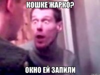 Кошке жарко? окно ей запили