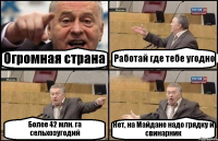 Огромная страна Работай где тебе угодно Более 42 млн. га сельхозугодий Нет, на Майдане надо грядку и свинарник