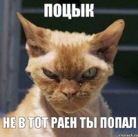 поцык не в тот раен ты попал