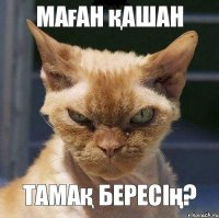 маған қашан тамақ бересің?