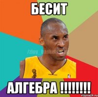 бесит АЛГЕБРА !!!!!!!!