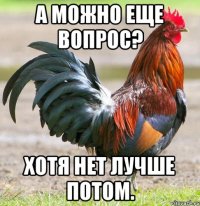 А МОЖНО ЕЩЕ ВОПРОС? ХОТЯ НЕТ ЛУЧШЕ ПОТОМ.