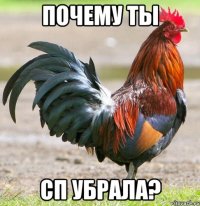 ПОЧЕМУ ТЫ СП УБРАЛА?