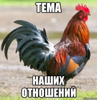 ТЕМА НАШИХ ОТНОШЕНИЙ