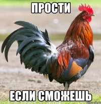 ПРОСТИ ЕСЛИ СМОЖЕШЬ