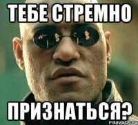 тебе стремно признаться?