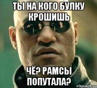 Ты на кого булку крошишь чё? рамсы попутала?