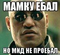 мамку ебал но мид не проебал