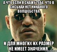 А что если я скажу тебе, что в сиськах нет никакого волшебства И для многих их размер не имеет значения.