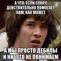 А что, если Сукач действительно помогает нам, как может а мы просто дебилы и ничего не понимаем