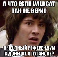 А что если WildCat так же верит в честный референдум в Донецке и Луганске?