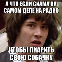 А что если Сиама на самом деле на радио чтобы пиарить свою собачку