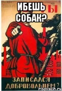 Ибешь собак? 