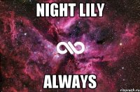 Night Lily Always