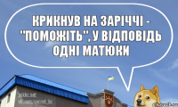 крикнув на заріччі - "поможіть", у відповідь одні матюки