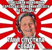 Приїздили наркомани городські,маковиння різати по городах... Так я спустила собаку