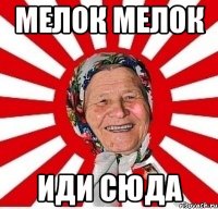 мелок мелок иди сюда